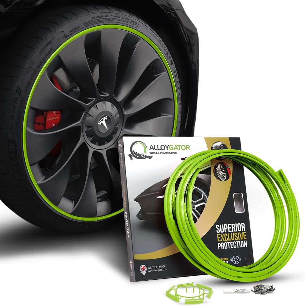 Alloy Gators